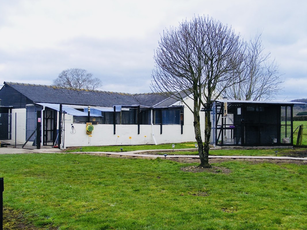 Iris's Animal Farm Cattery photo 3