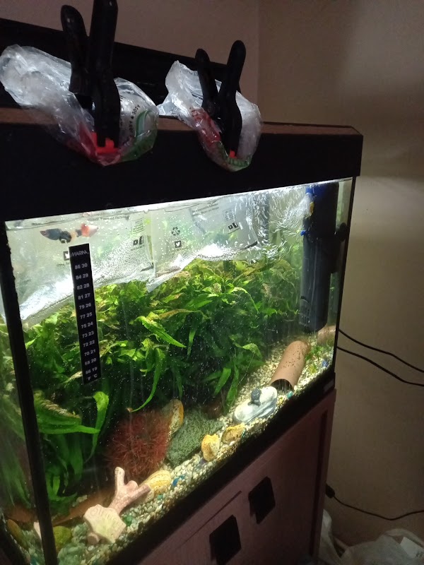 MB Aquariums