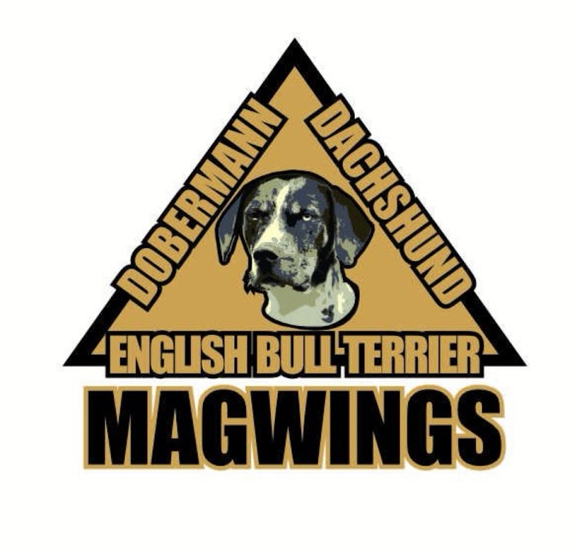 Magwings Dog Breeding