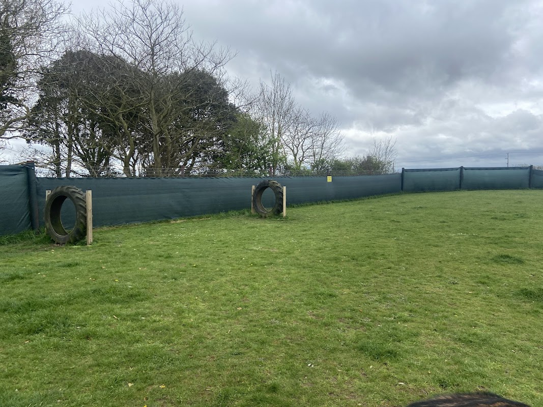 Winterton Hound Ground photo 2