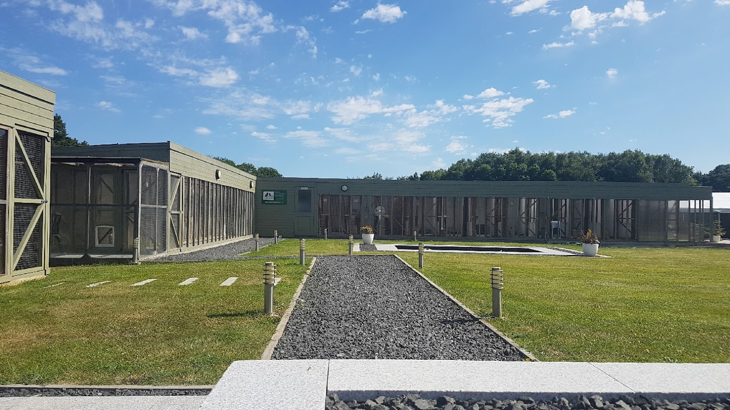 Ranpura Farm Cattery