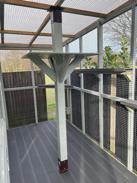 Ranpura Farm Cattery photo 2