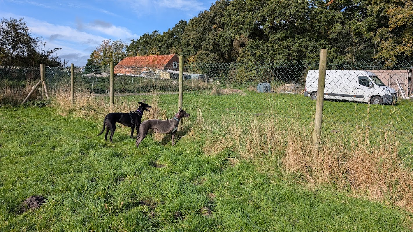 Crossroads Farm kennels photo 1