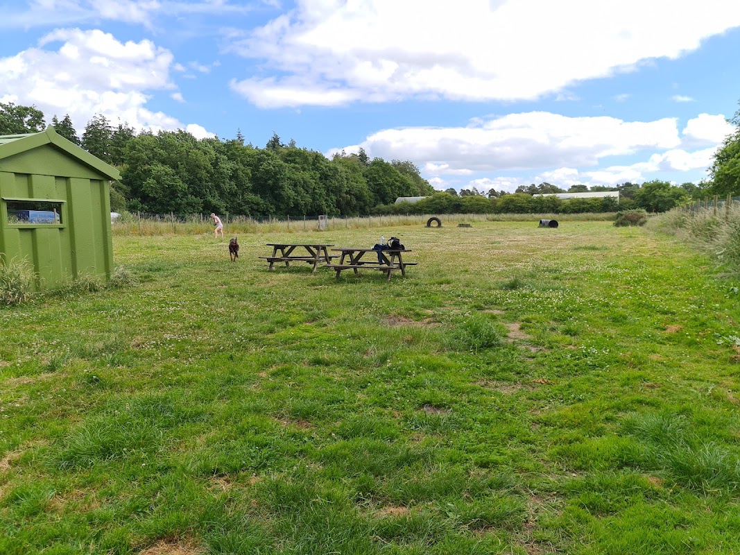 Crossroads Farm kennels photo 2