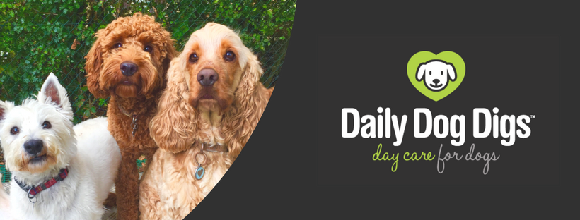 Daily Dog Digs
