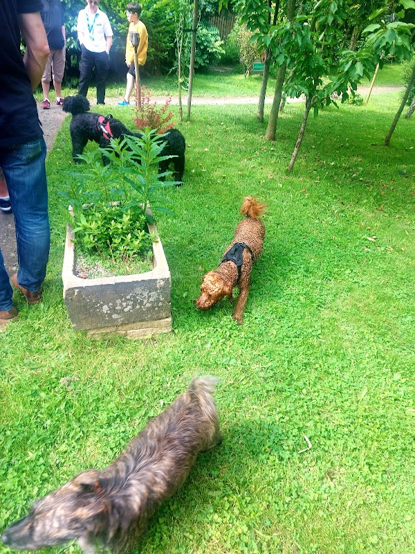 Ayrshire Dog Care