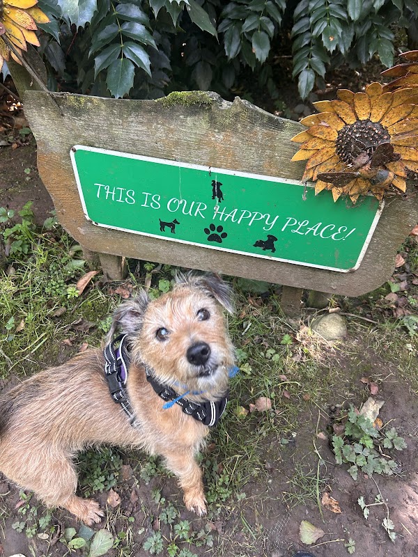 Ayrshire Dog Care photo 3
