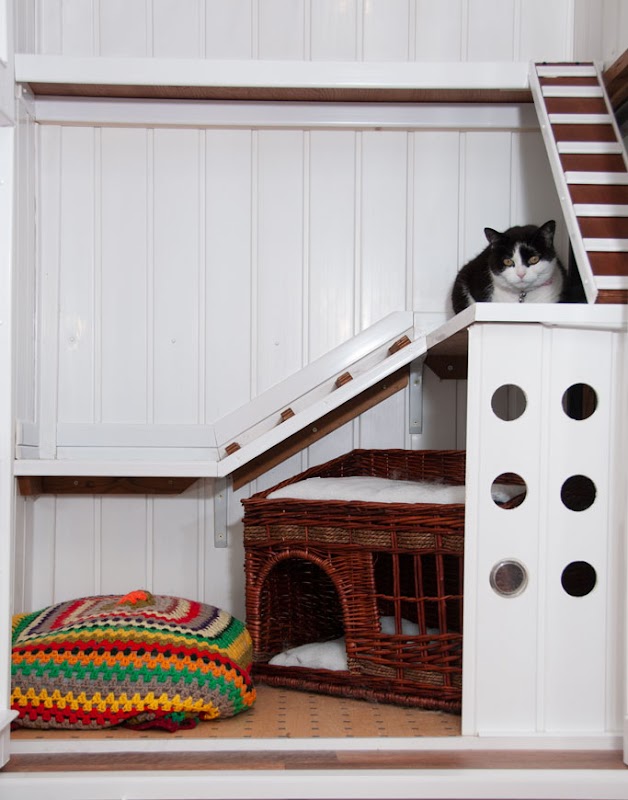 Mossdale Cattery photo 1