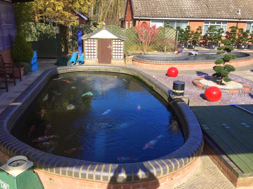 Selective Koi Sales