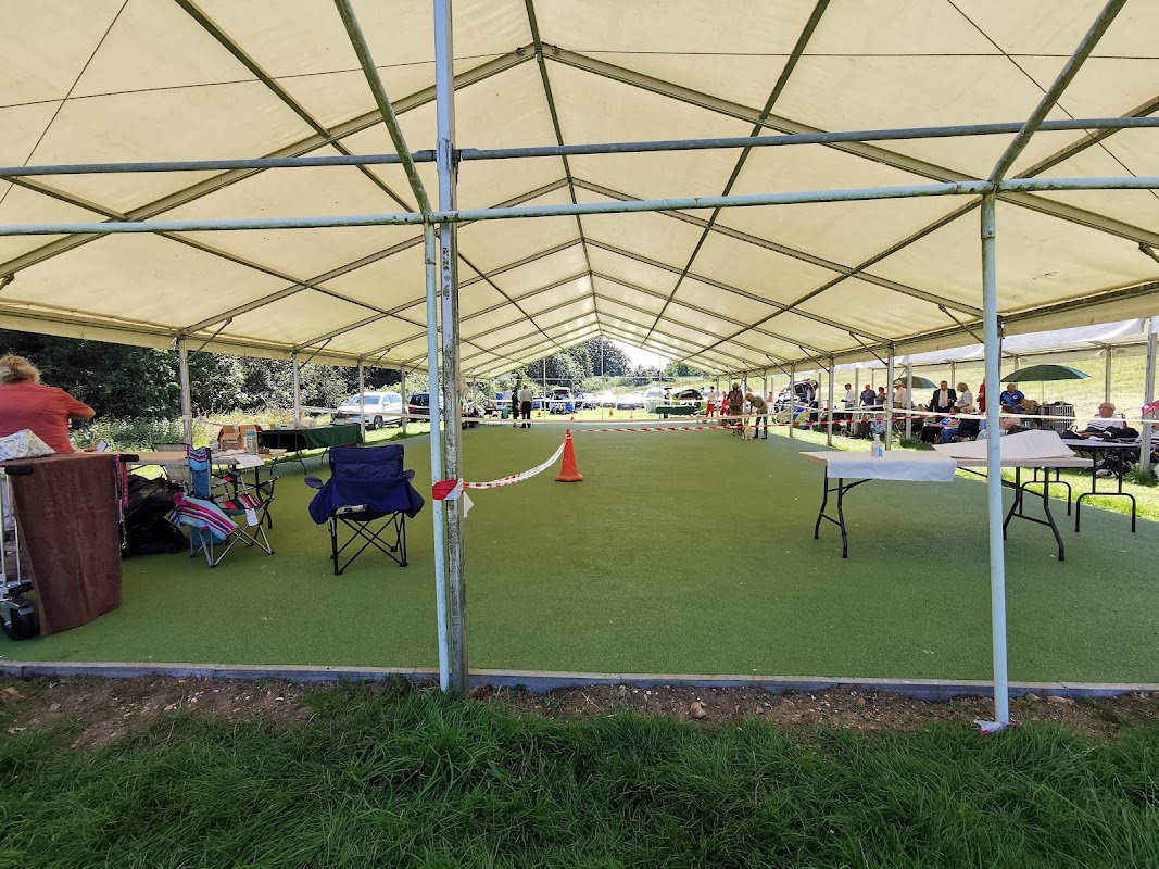Dog Academy Ltd photo 1