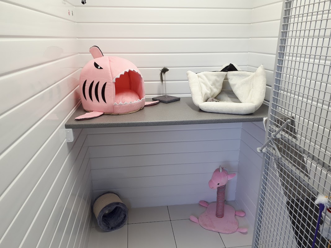 Bonnie B's Cattery photo 2