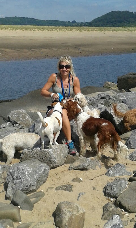 Towig Dogs