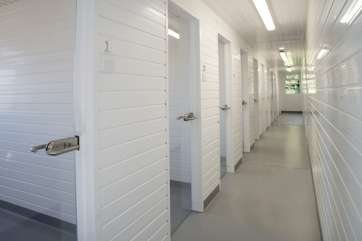 Astwood Cattery