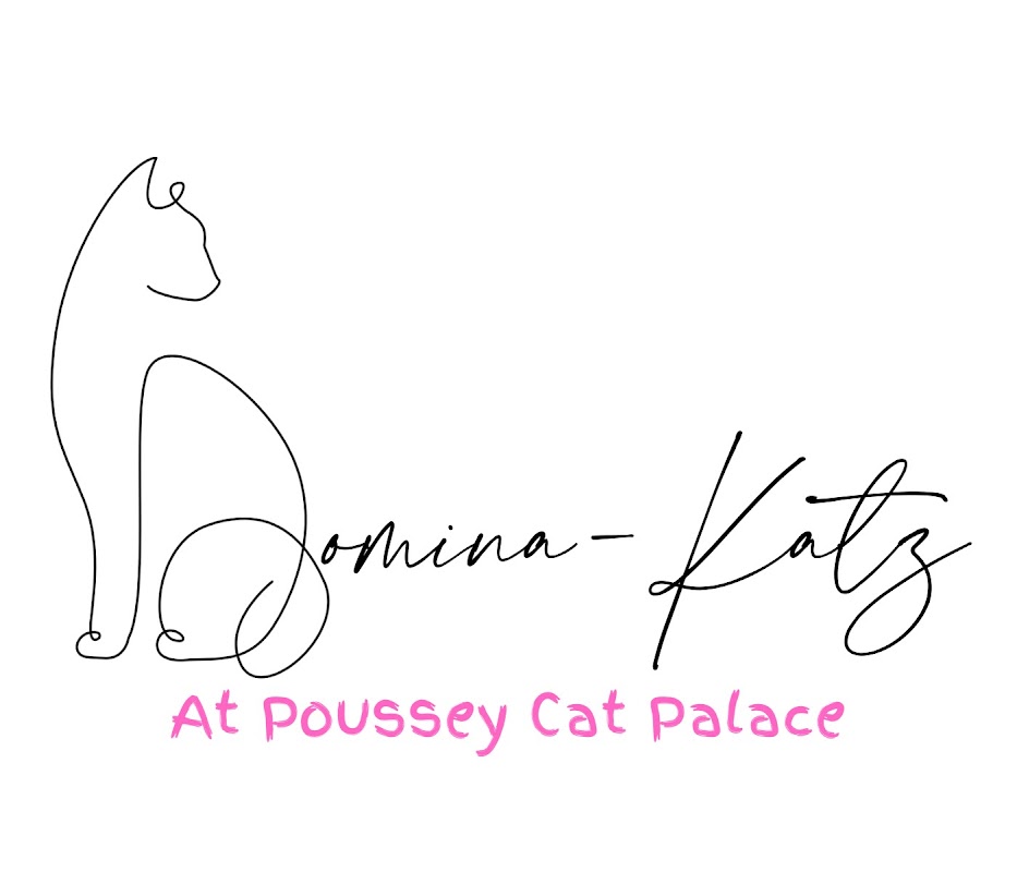 Domina-Katz Siamese cat breeder photo 1