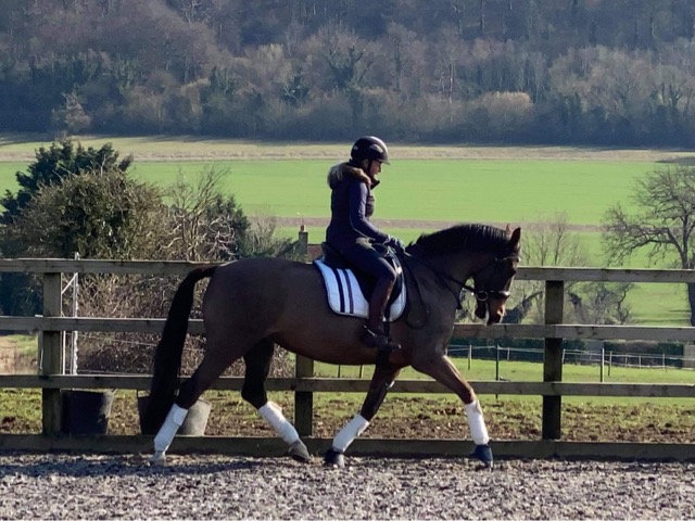 Tynefield Stud photo 2