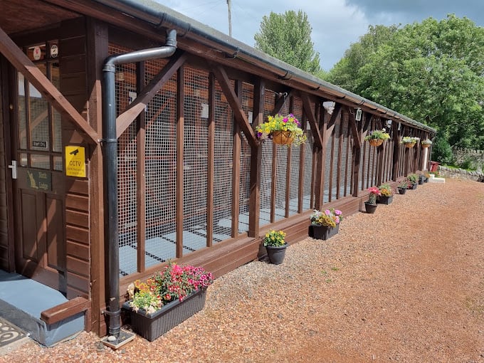 Canny Cat Cattery Ltd photo 2