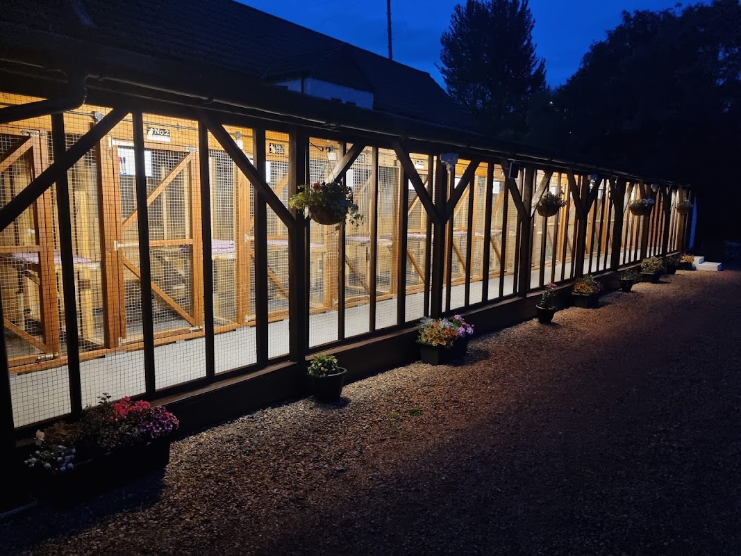 Canny Cat Cattery Ltd photo 1