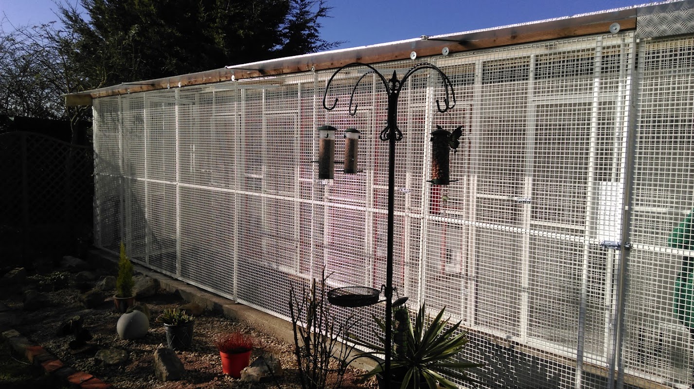 Fordcroft Cattery photo 1