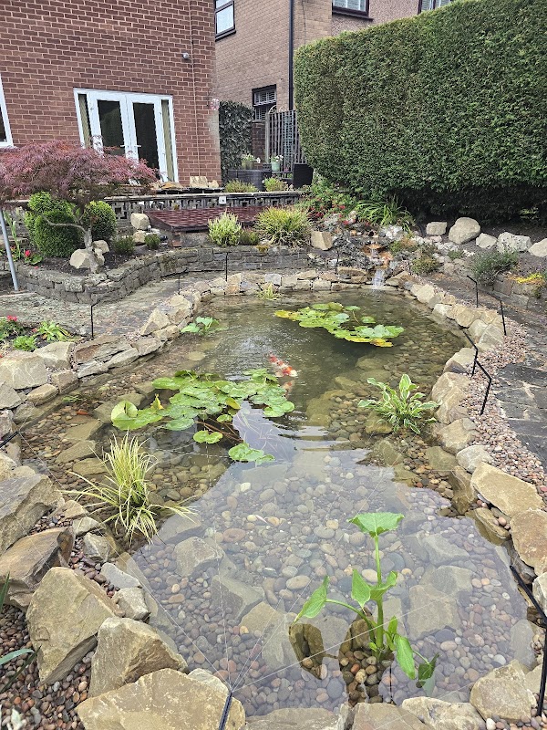Ponds and Koi