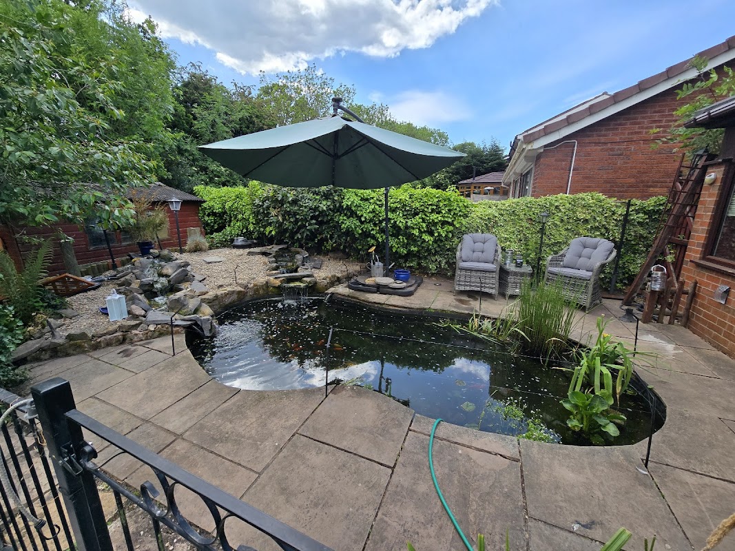 Ponds and Koi photo 2