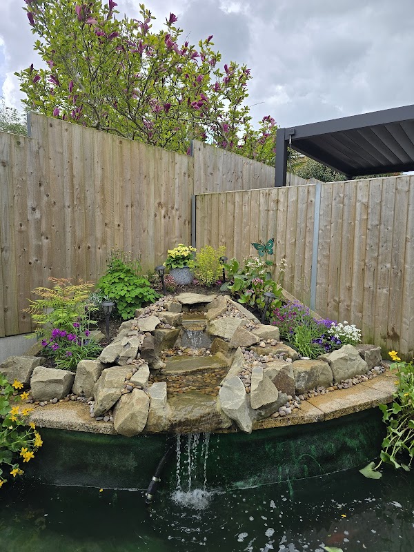 Ponds and Koi photo 1