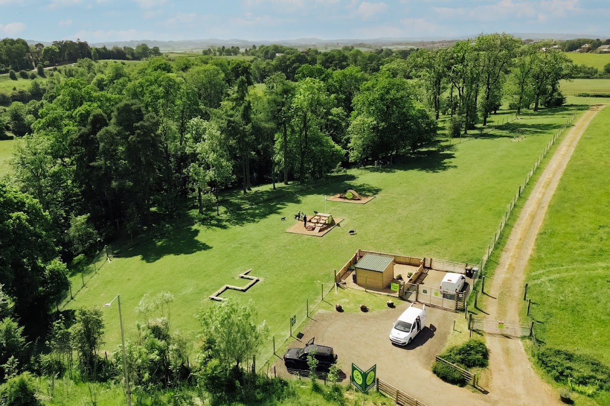 Unleash the Dogs - Carmunnock Dog Fields