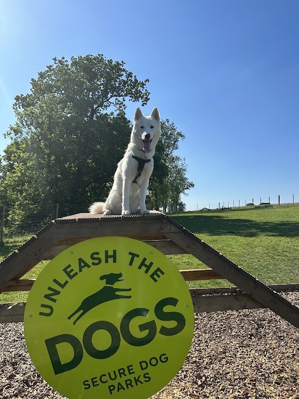 Unleash the Dogs - Carmunnock Dog Fields photo 2
