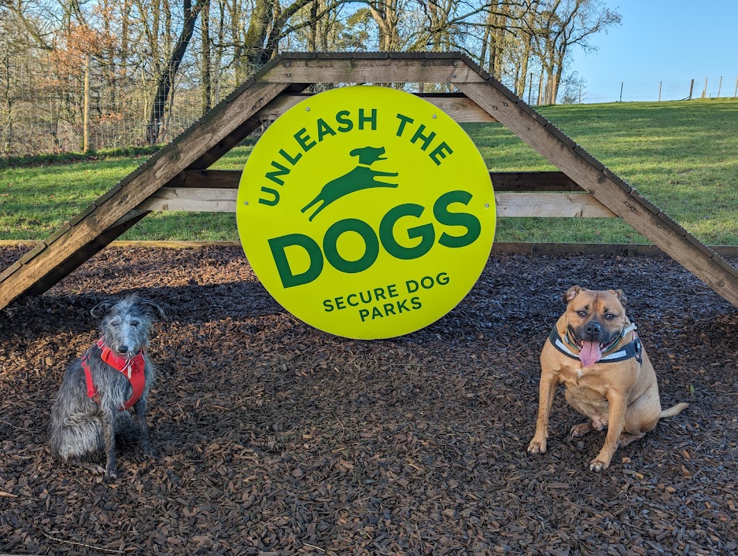 Unleash the Dogs - Carmunnock Dog Fields photo 3