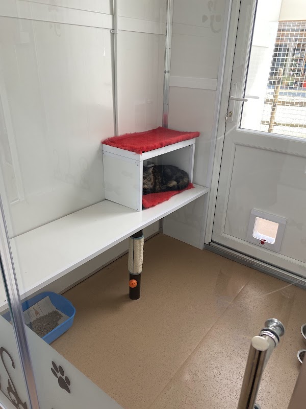 Avalon Kennels photo 2