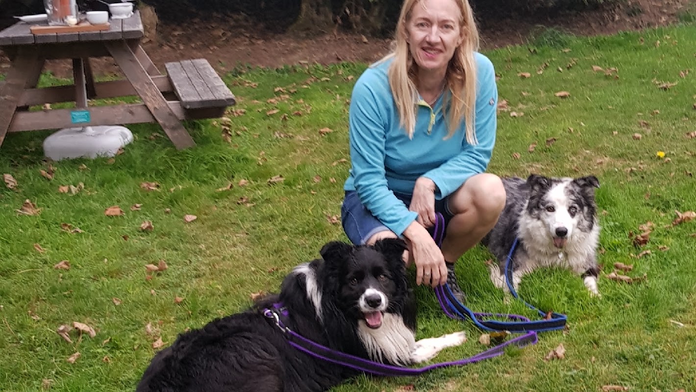 The Puppy Trainer photo 2