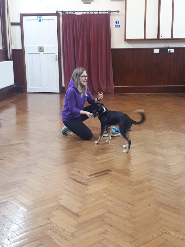 EXEmplar Dogs photo 2