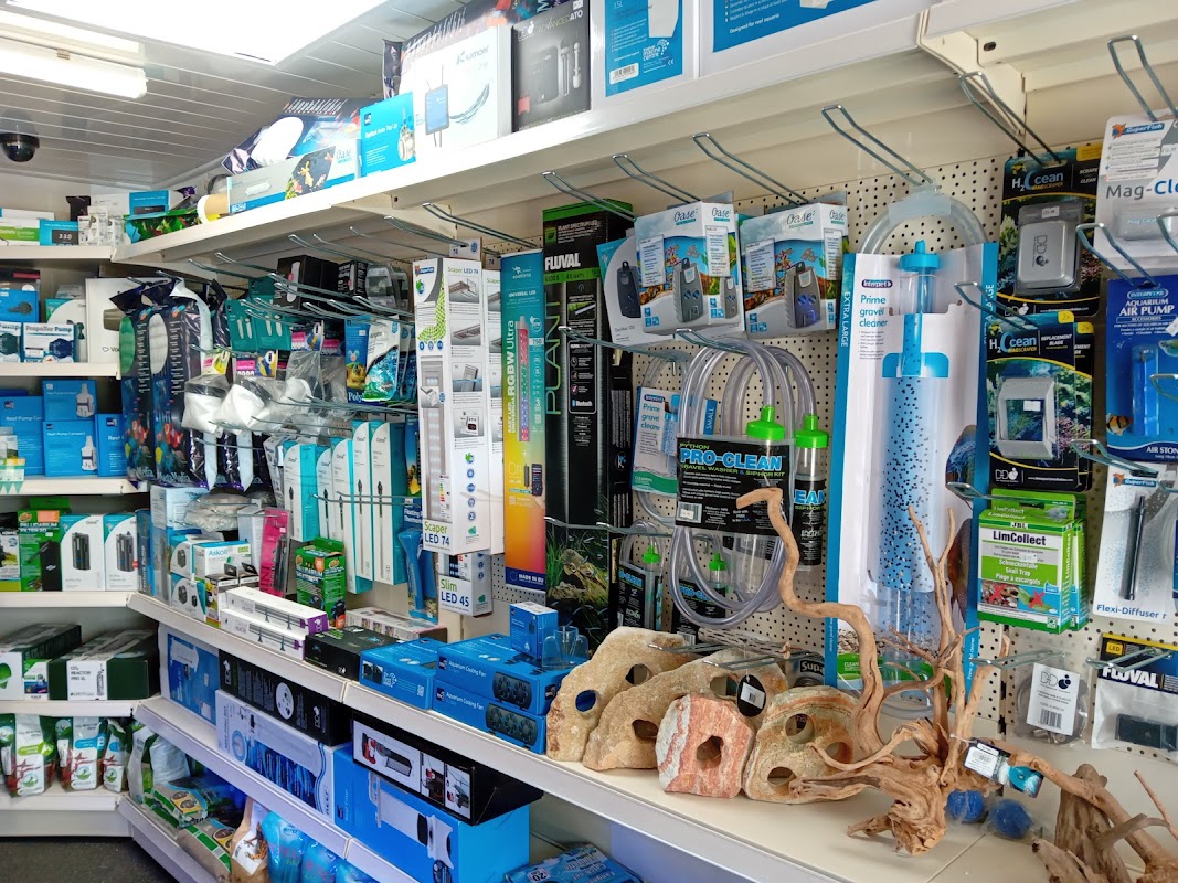 Cornwall Aquatics & Aquarium Services photo 1