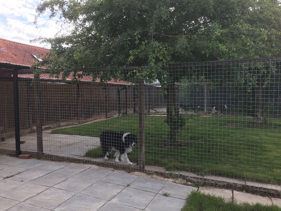 Waterlow Farm Kennels photo 3