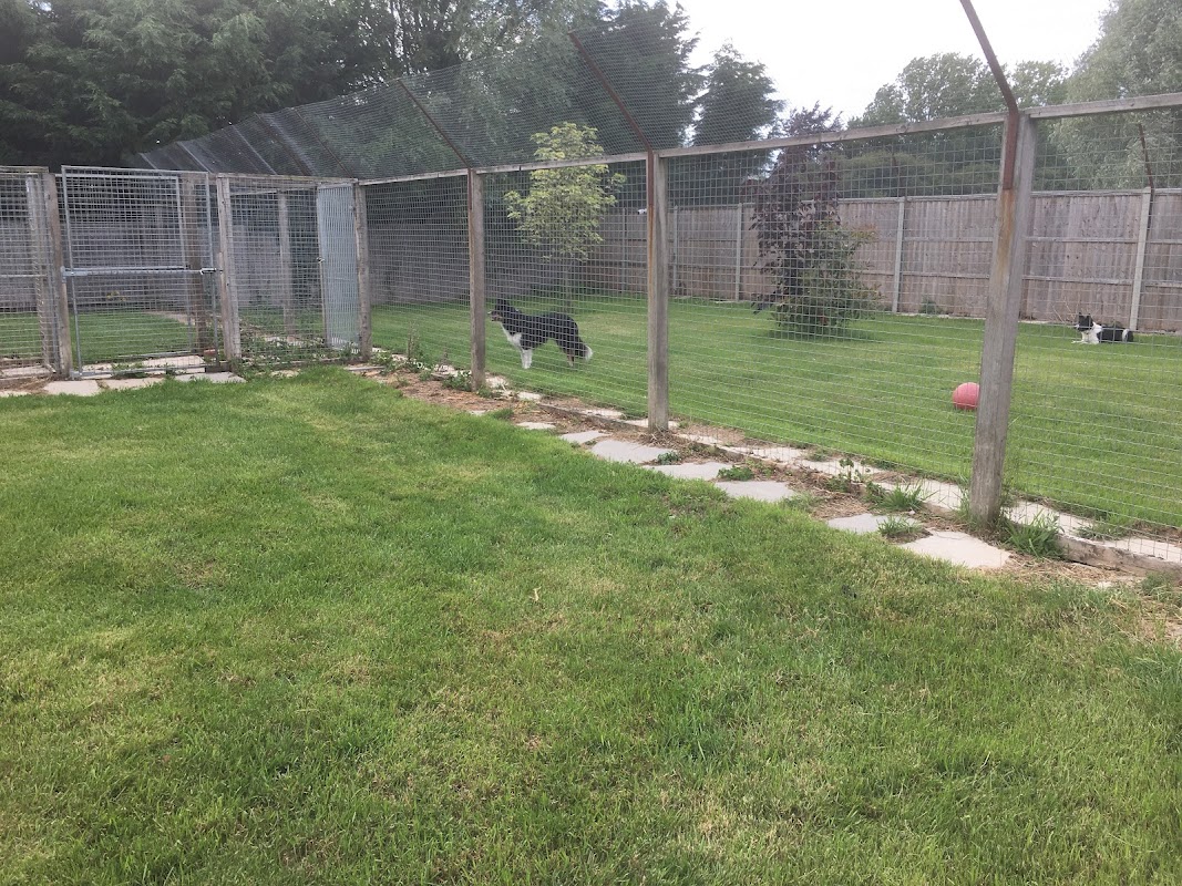 Waterlow Farm Kennels photo 2
