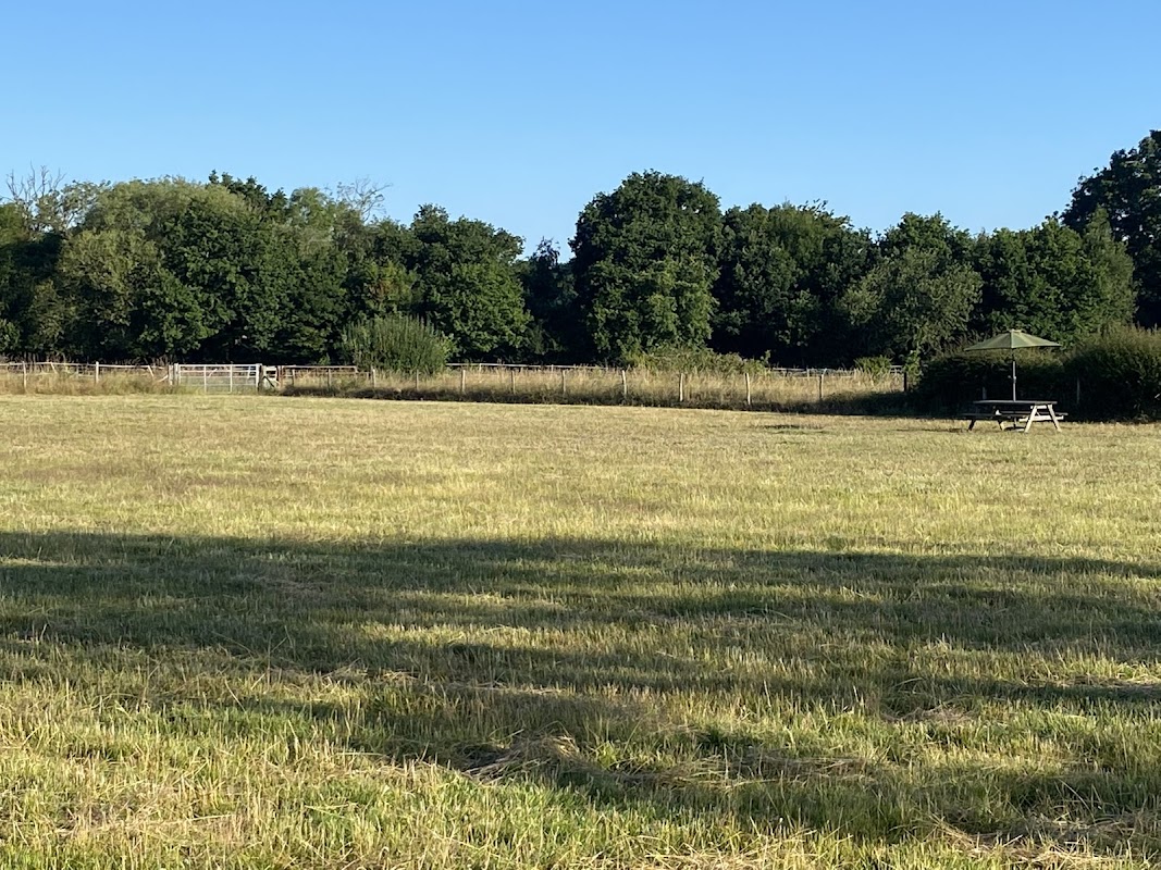 Bankside Farm Dog Exercise Field photo 3