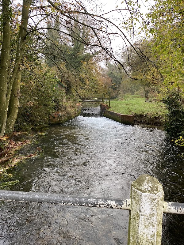 Franklyns Fish Farm Ltd