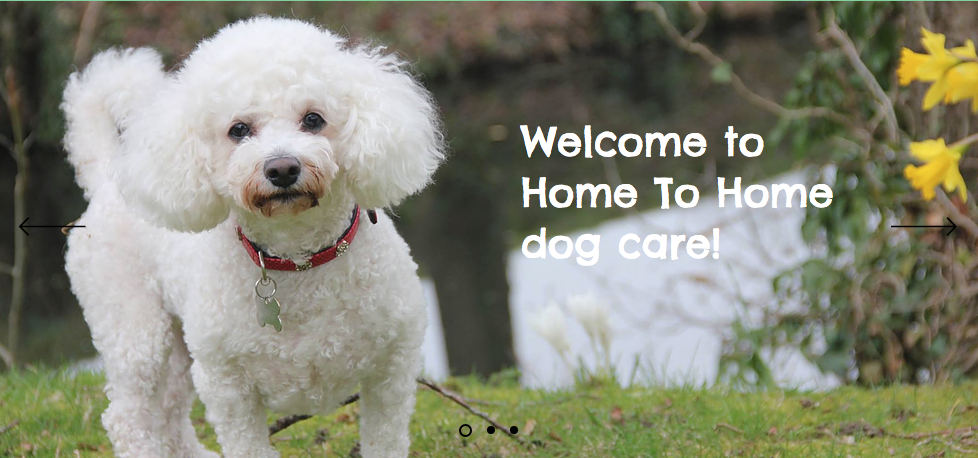 Home To Home Dog Care In East Grinstead (Small breeds 8kg max) — breeder photo