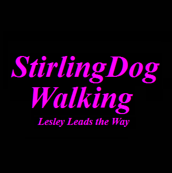 StirlingDogWalking photo 3