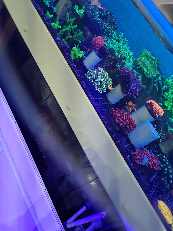 Taunton Aquarium Centre photo 3