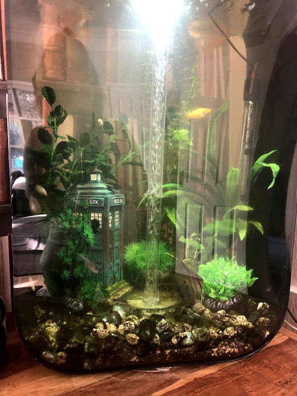 Beacon Pet Aquarium photo 3