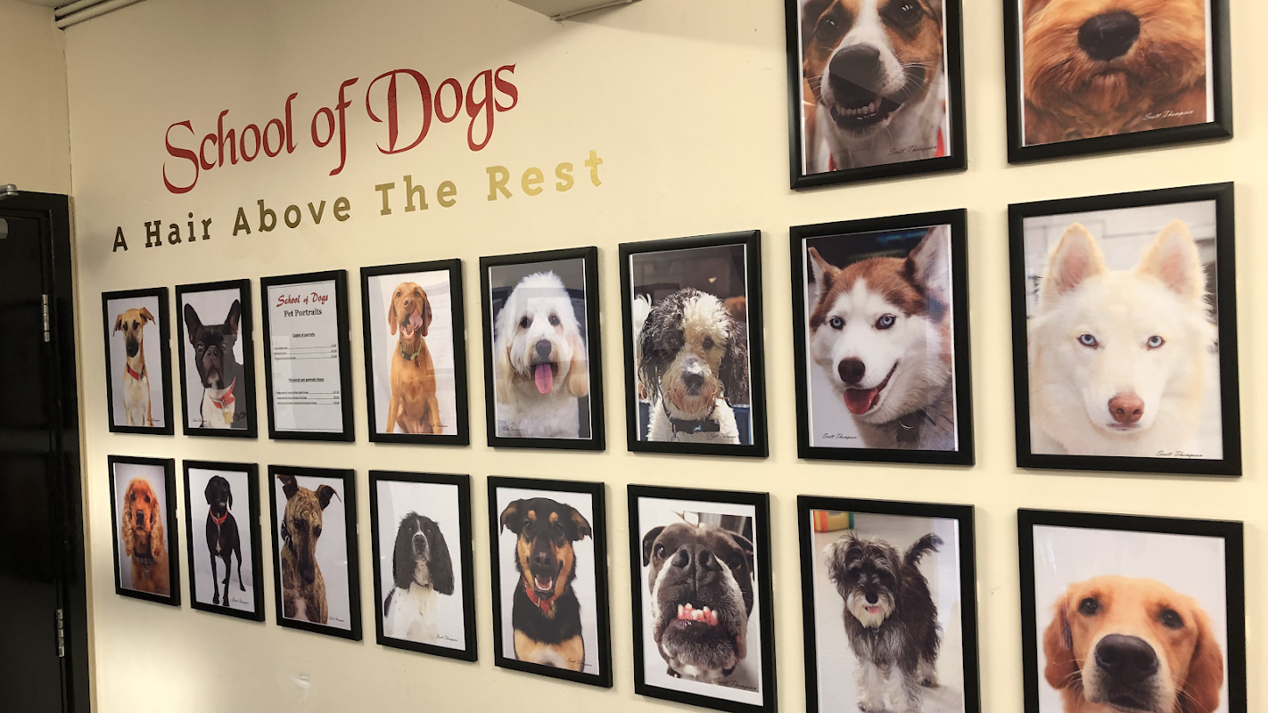 Cheshire School of Dogs — breeder photo