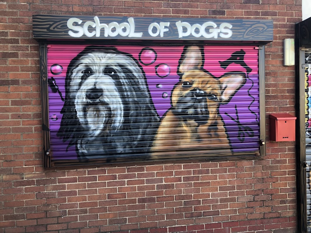 Cheshire School of Dogs photo 3
