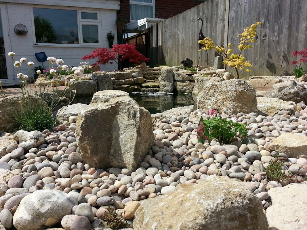 All About Fish, Pond & Aquarium Services photo 3