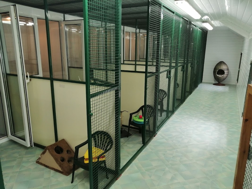 Crookedstone Cattery photo 3