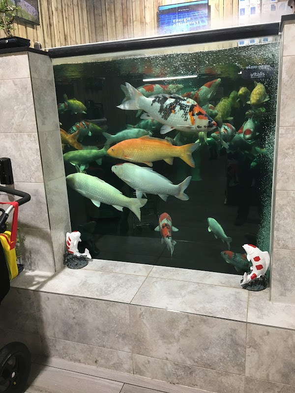 Koi Water Barn photo 3