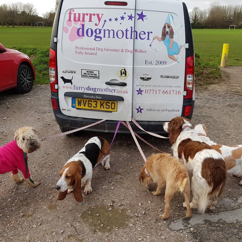 Furry Dogmother — breeder photo