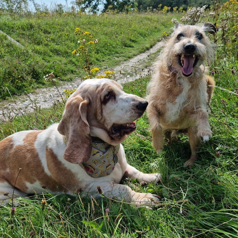 Furry Dogmother photo 1