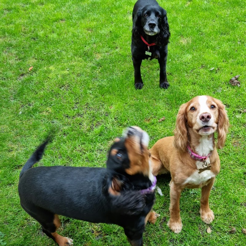 Furry Dogmother photo 3