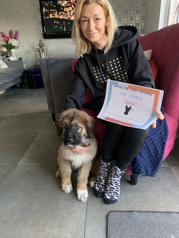 Inverclyde Puppy Training photo 1