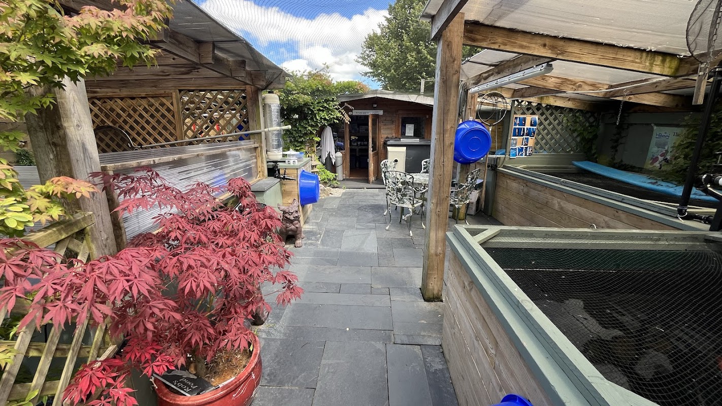 Netherton Koi